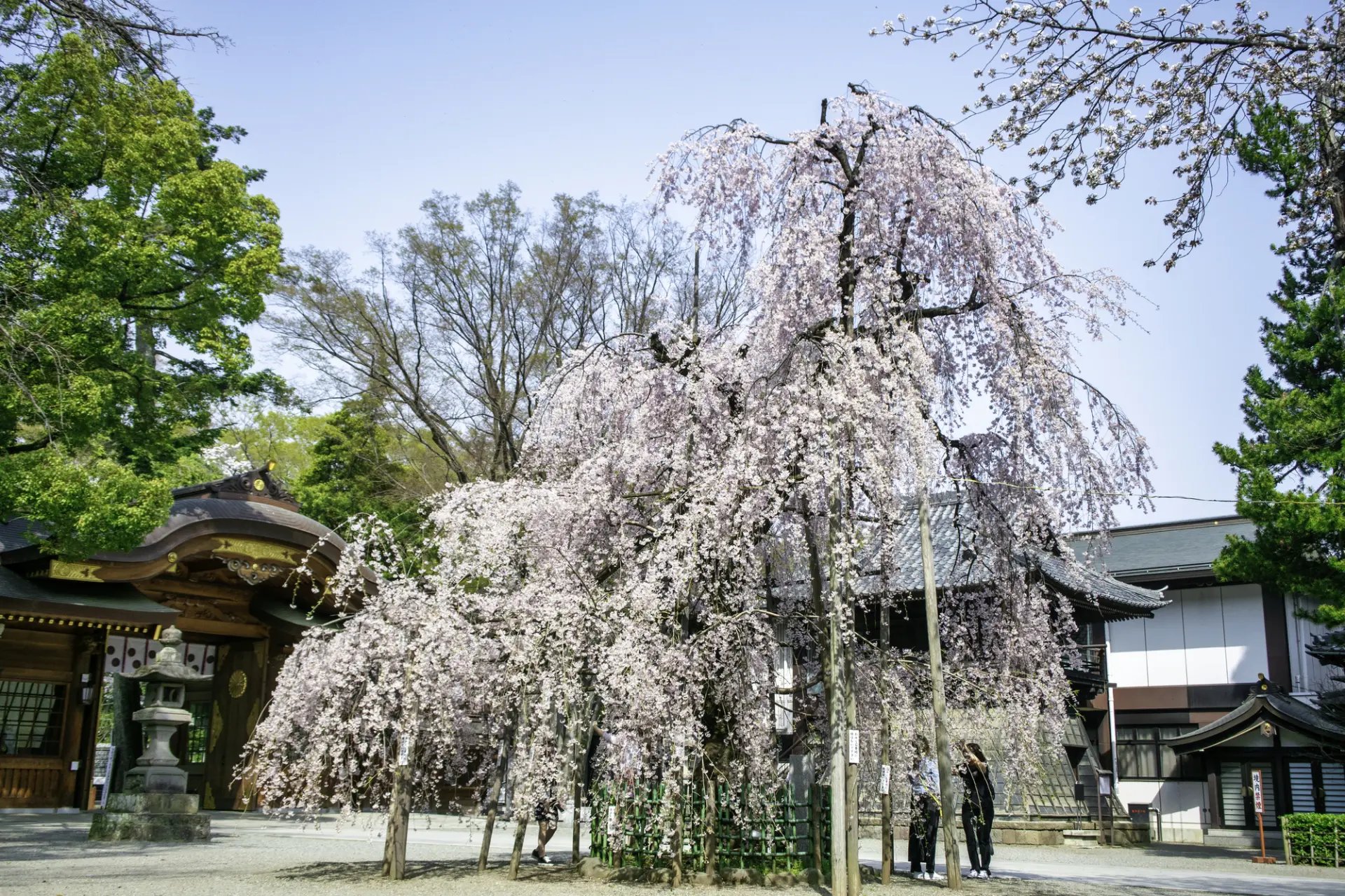 🖼️ 후추시 미술관(후추시비주쓰칸) 이미지 6